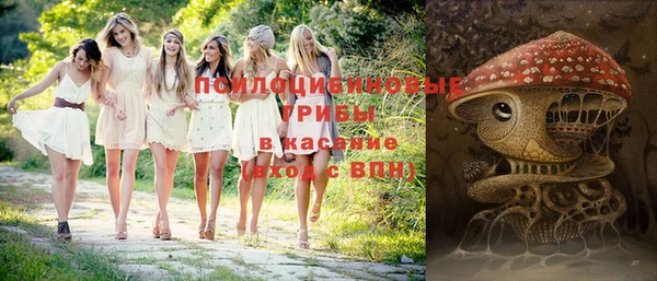 ГАЛЛЮЦИНОГЕННЫЕ ГРИБЫ Гусев