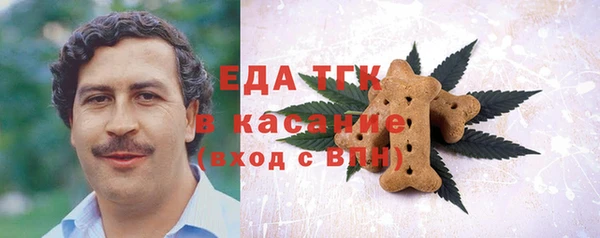 ГАЛЛЮЦИНОГЕННЫЕ ГРИБЫ Гусев