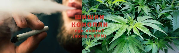 ешки Гусь-Хрустальный