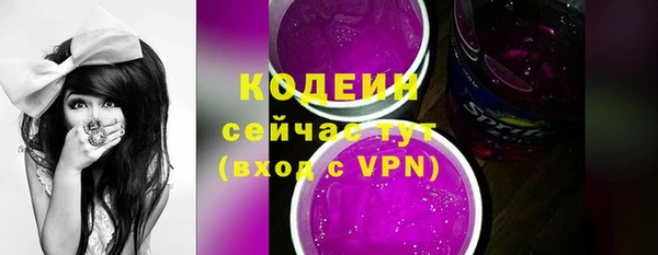 ГАЛЛЮЦИНОГЕННЫЕ ГРИБЫ Гусев