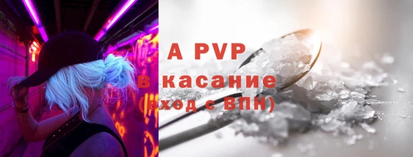 ГАЛЛЮЦИНОГЕННЫЕ ГРИБЫ Гусев