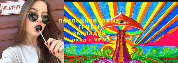 ешки Гусь-Хрустальный