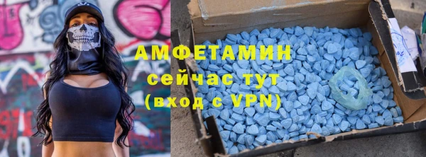 ГАЛЛЮЦИНОГЕННЫЕ ГРИБЫ Гусев