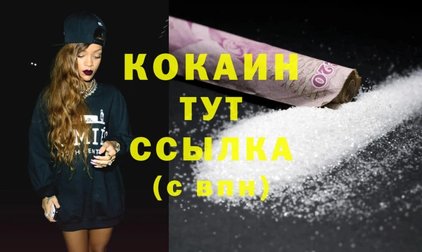 ГАЛЛЮЦИНОГЕННЫЕ ГРИБЫ Гусев