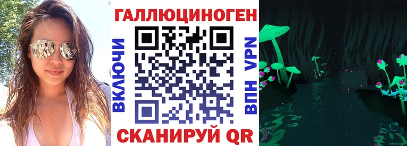 Купить  Мышкин  Галлюциногенные грибы MAGIC MUSHROOMS 